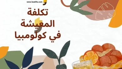 تكلفة المعيشة في كولومبيا 2024 للطلاب، زائد مميزات الحياة في كولومبيا 2024