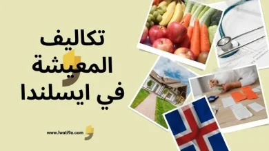 تكاليف المعيشة في ايسلندا 2024 والتعليم، زائد تكلفة السفر وميزات الحياة في ايسلندا 2024